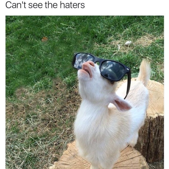 Meet your Posher, Erin - Picture 2 of 2